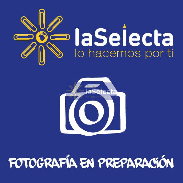 REGLA PLASTICA 30 CM WINNIE THE POOH DISNEY